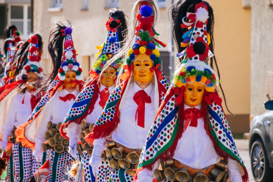 Narrenzunft Wilflingen e. V.